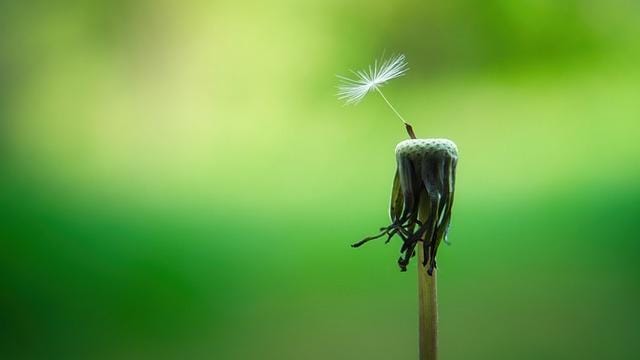 3) Mindfulness​ Meditation: ⁤Regular mindfulness ‍and meditation practices can rewire your brain to handle stress better, improving mental clarity and reducing symptoms of anxiety and depression